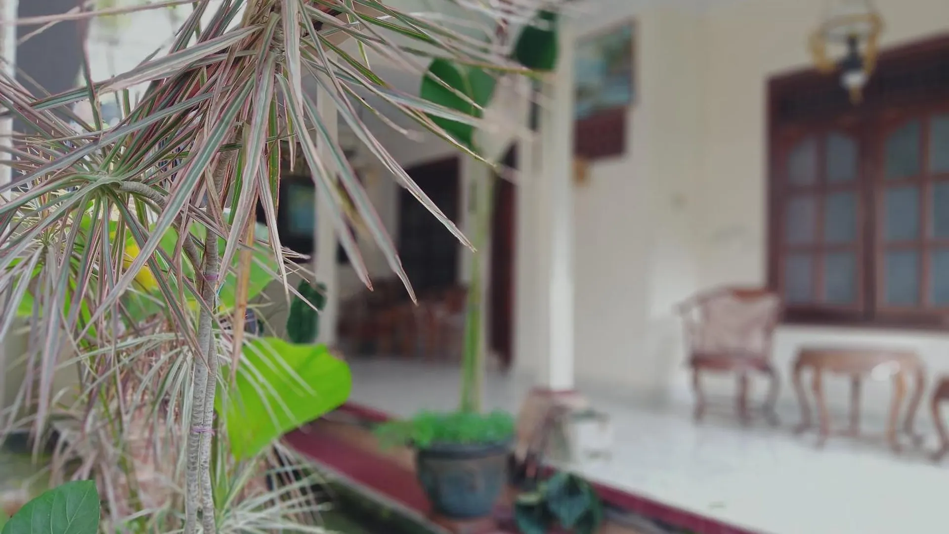 Sudana Homestay Ubud  0*, Ubud (Bali) Indonesia