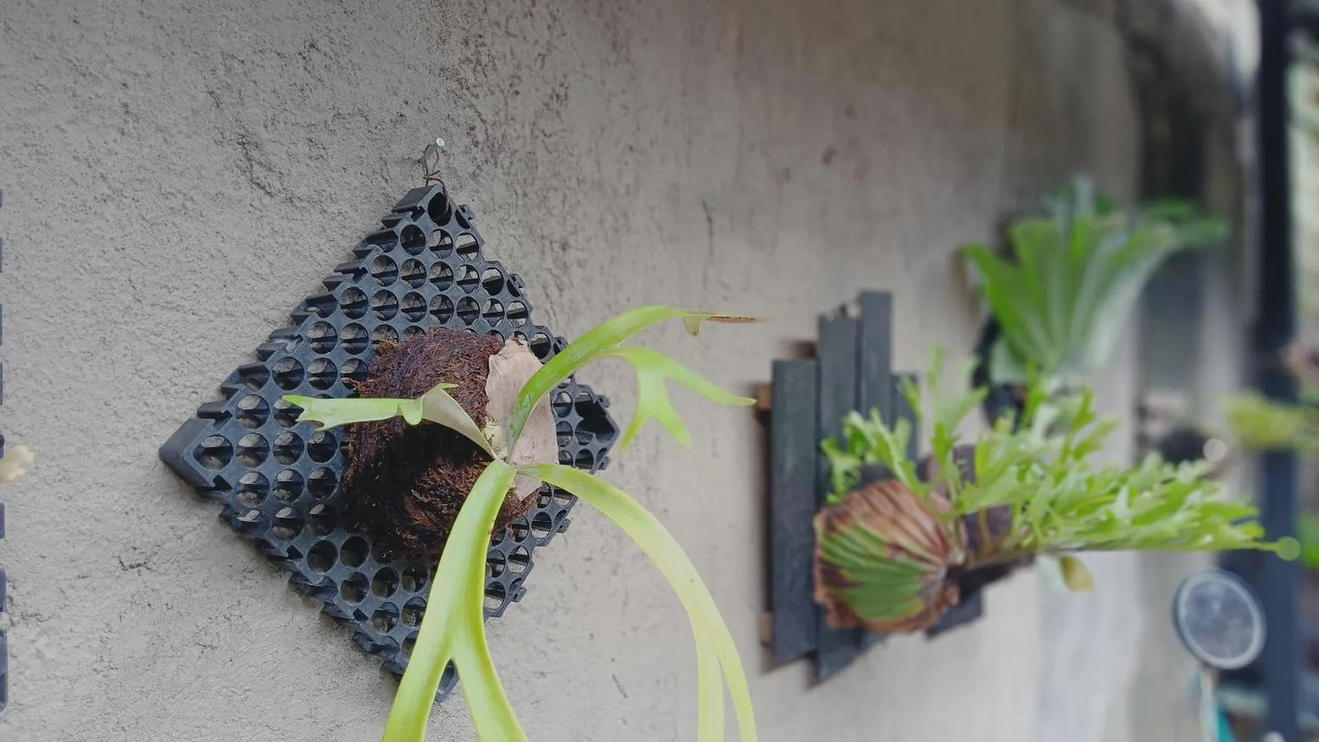 Sudana Homestay Ubud  Guest house Ubud (Bali)